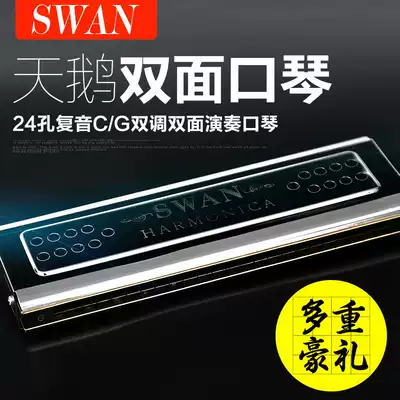 swan Swan playing harmonica beginner 24-hole C-tone G-tone polyphonic harmonica double-sided harmonica with box gift