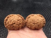  Wen play walnut four-building lion head official hat wild shaped three-four-edged green leather boutique collection Play stuffy tip