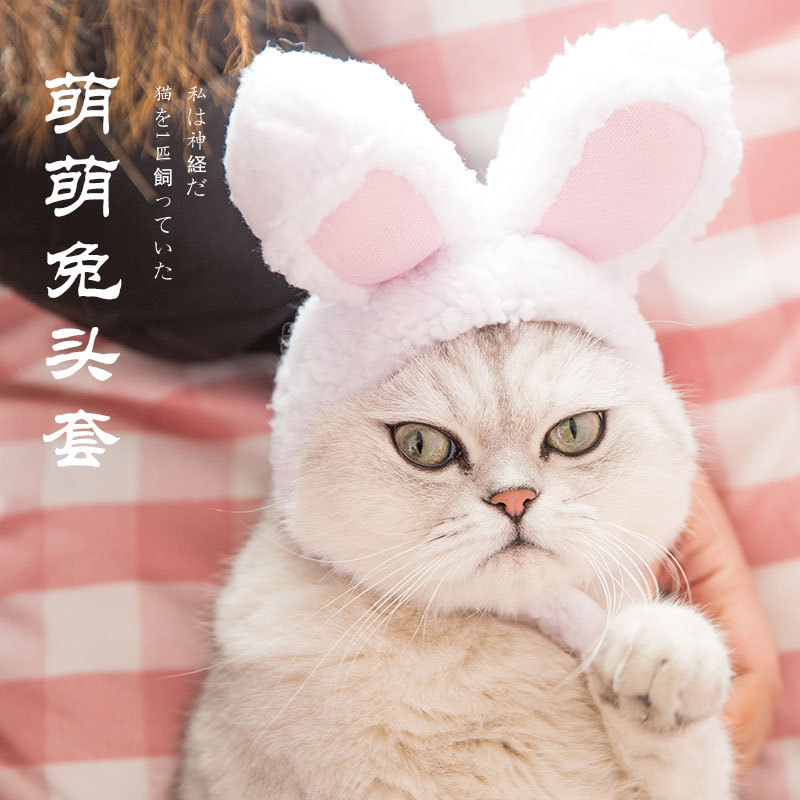 Cat Headgear Pet Hat Dog Headdress Cute Funny Rabbit Ears Headgear Decoration Funny Cat Hat Supplies