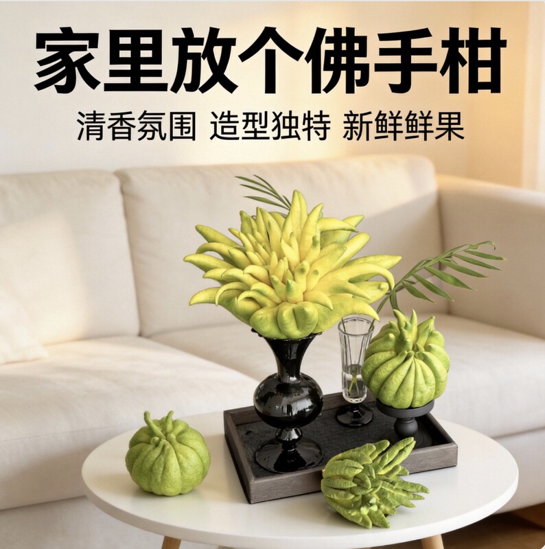 Fresh Bergamot Fruit, Natural Fragrant Bergamot, Indoor Ornamental Plant, Flower Arrangement Decoration, Bergamot Offering Decoration