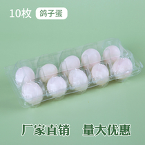 10 pigeon egg trays mountain egg trays disposable transparent plastic boxes pigeon egg trays packaging boxes factory direct sales