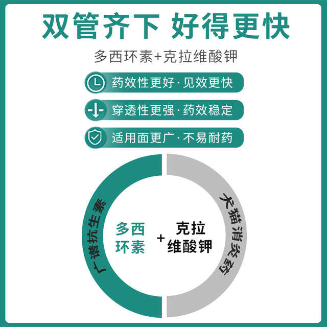 Doxycycline hydrochloride ເມັດສໍາລັບແມວ, ຢາເຢັນສໍາລັບການຈາມແລະດັງ, ຢາພິເສດສໍາລັບດັງຫມາແລະແມວ