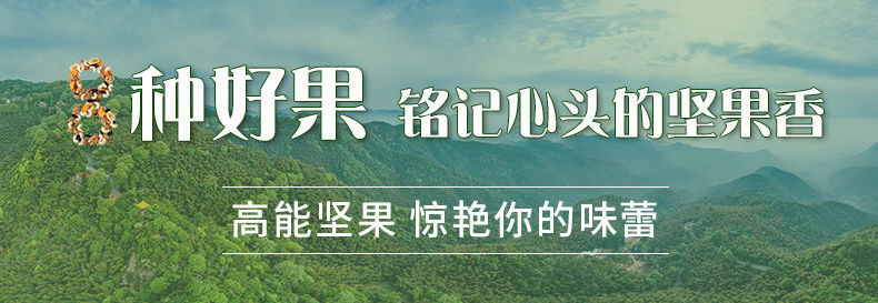 每日坚果礼盒干果仁零食大礼包