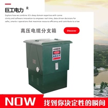 West melting 10kv high voltage cable branch box DFW-10 630 cold rolled plate European type tap box one in two three four out