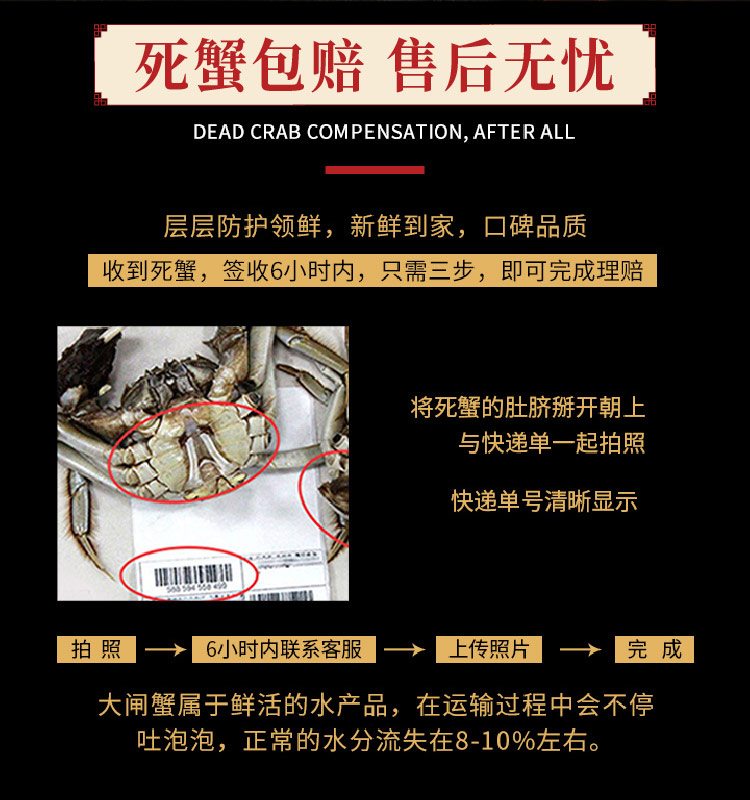 金蟹缘 新鲜大闸蟹 六月黄全母蟹 12只 单只2-2.5两 图5