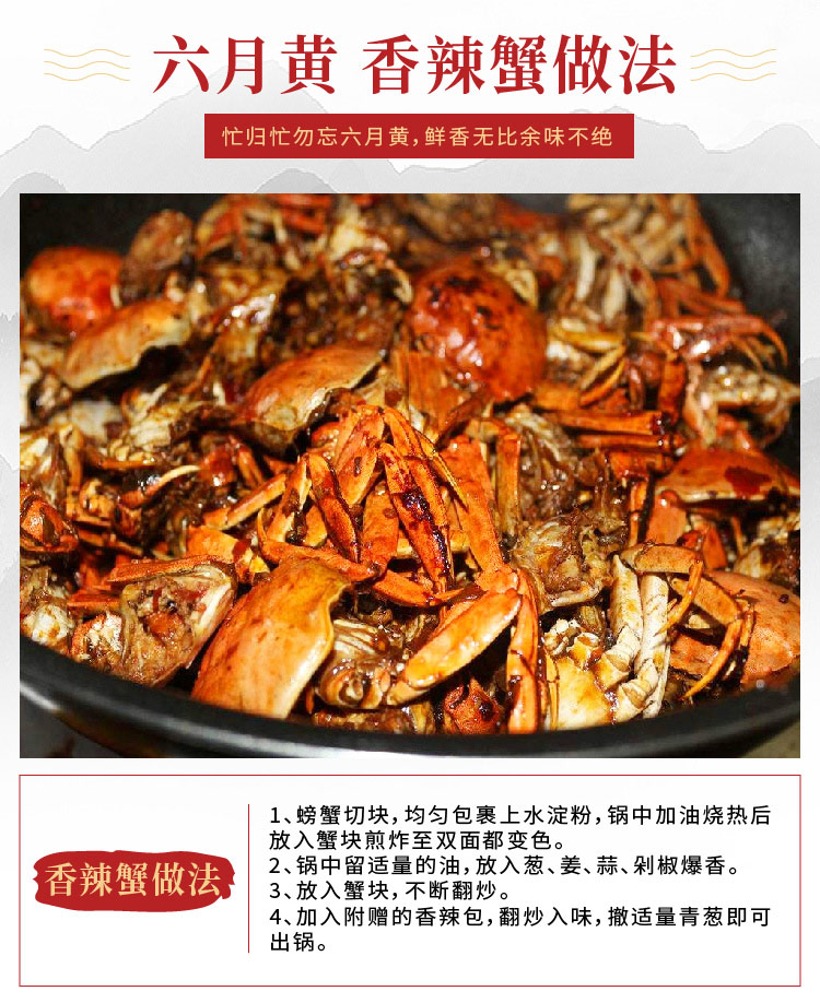 金蟹缘 新鲜大闸蟹 六月黄全母蟹 12只 单只2-2.5两 图2