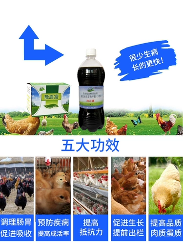 Курица птицы птицы, удобрения для утиного гуся