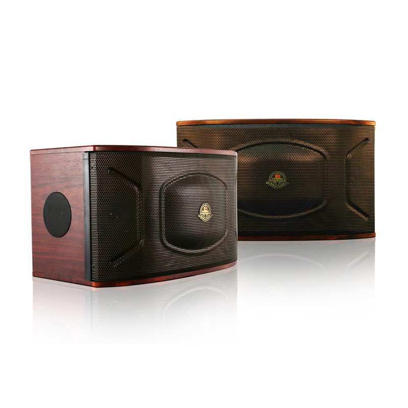 Promotion of Danish Sheng DM 50K Card Case Home Karaoke Big Dynamic Retro Wood Grain K Song Speaker