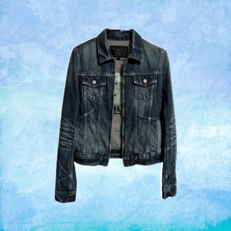 Clearance Sale: Undercover Style "But Beautiful" Green Apple Insect Denim Jacket