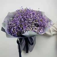 Big Bunch Purple Classic Дайте свет