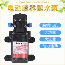 Electric sprayer water pump agricultural high pressure charging sprayer accessories watering large pressure electric pump 12v diaphragm pump