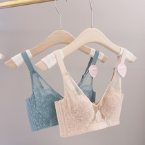 Summer sexy lace no steel ring thin section ultra-thin underwear no sponge bra rabbit ears bra crystal cup anti-convex