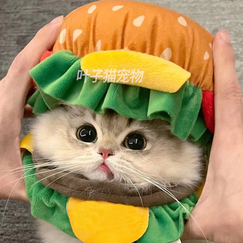 Hamburger Cat Hat Collar for Cats and Dogs, Mcdonald's Pet Hat, Adjustable Neck Strap, Funny Headwear, Photo Props