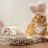 Удерживающий тепло шлем, милая шапка, аксессуар для волос, золото и серебро