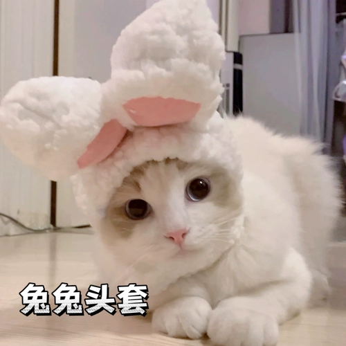 Удерживающий тепло шлем, милая шапка, аксессуар для волос, золото и серебро