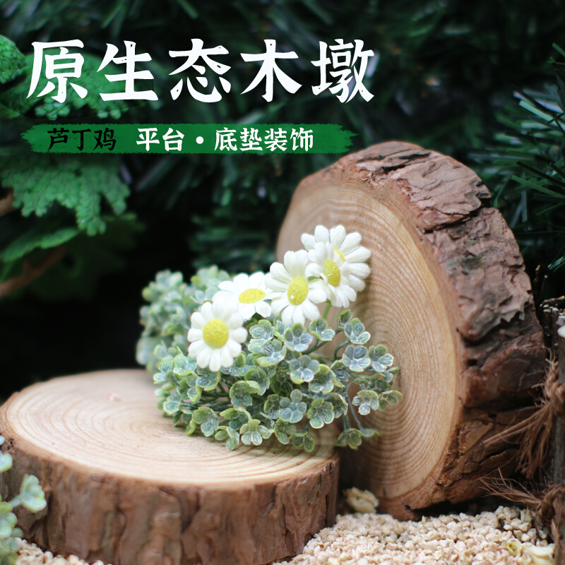 Rutin chicken pet with bark fir pier wooden pile bottom pad solid wood wooden root ornament round stump base decoration