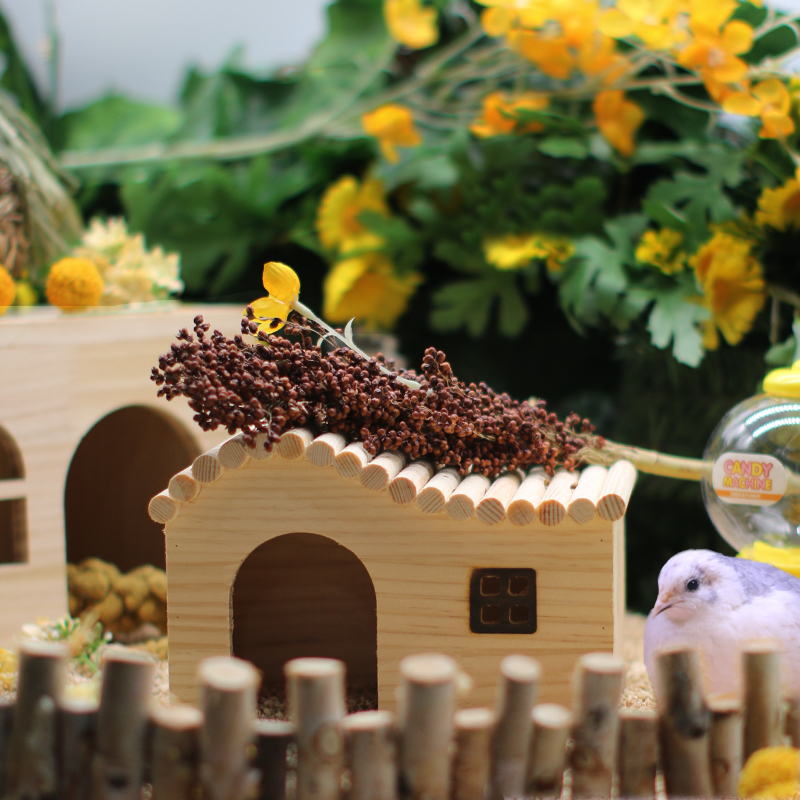 Rutin chicken pet wooden nest wooden house wooden house landscaping supplies small pet special solid wood wooden large trumpet dodge