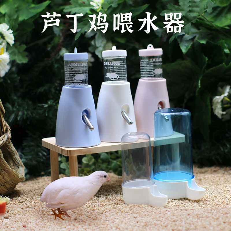 Rutin Chicken Pet Drinking Bottle Drinking Bottle Vertical Bracket Anti-Rollover Fresh Color Hamster Golden Bear Waterproof
