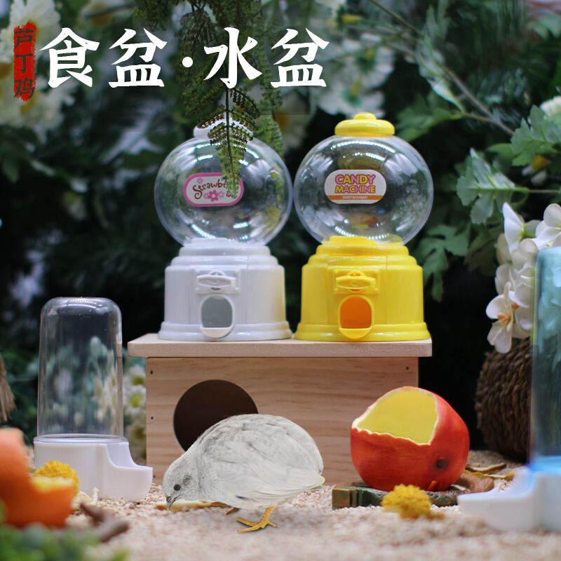 Rutin chicken water basin food basin feeder heightened sink trough water dispenser kettle automatic drinking water Luding chicken supplies