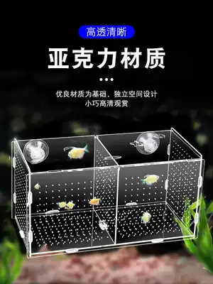 Guppies breeding box fish tank isolation net hatching small fry female fish fish Cubs separation ovipositor tropical fish delivery room