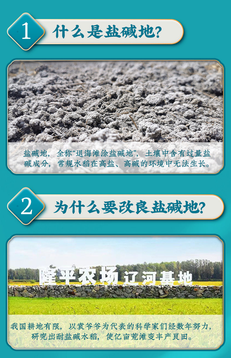 史低,10斤 袁隆平大米 耐盐碱珍珠米 39.9元包邮 值值值-买手聚集的地方