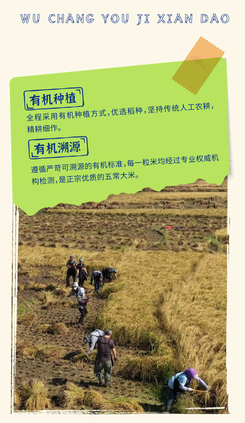 安享好物 安享S级粳米-袁谷五常 有机鲜稻米 国标 