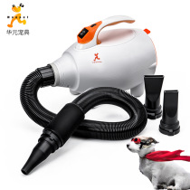 Pet high-power large dog small hair dryer long hair bath hair dryer supplies
