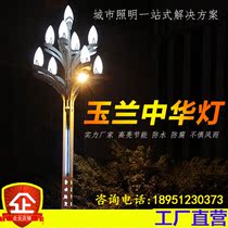 Chinese Magnolia Lights Street Lights Outdoor Lighting Lights 6m 8m 10m 12m Bridge Lights City Road Custom Street Lights