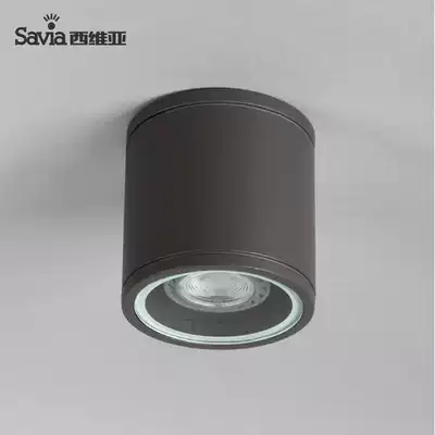 savia simple outdoor surface mounted downlight Round indoor anti-fog waterproof energy-saving spotlight Ceiling light free drilling