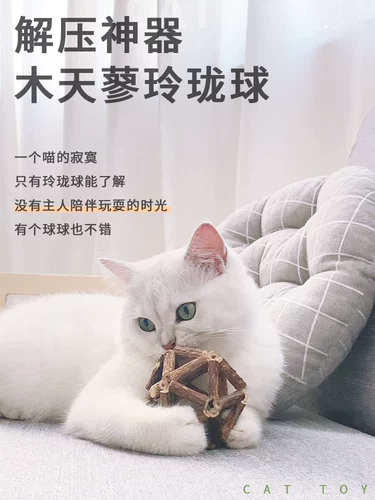 Кошка играет с Mi Mi Mi, чтобы сыграть 呙 蓼 蓼 鸵 鸵 鸵 鸵 鸵 鸵 鸵 鸵 鸵 鸵 鸵