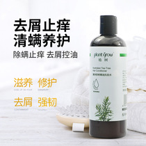 Australian Tea Tree Essential Oils Shampoo Tree to Scrap Itch No Silicone Oil Nourishes Control Oil Feminine Softly Shampoo Deluge De Mites