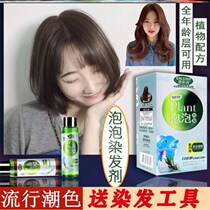 Nle Poetry Bubbles Foam Dye Hair Black Tea Basket Dyeing Paste Heuristic Blue Red Dye Head Cream Shake the same one wash