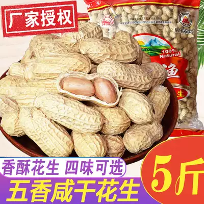 Salty and Dry peanuts 10 catties in bulk farmhouse bags ten catties of salty peanuts cooked and baked new fresh shelled garlic peanuts