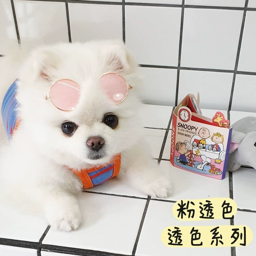 Солнцезащитные очки, брендовый аксессуар, популярно в интернете