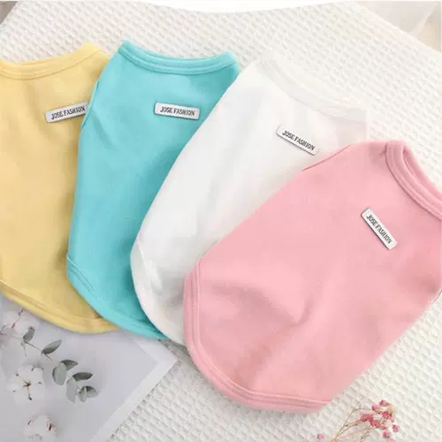 Кошачья одежда для собак Весна, лето и осенний градиент ПЭТ -золото Грагент Рэгдолл Дьюэн согревается и предотвращает выпадение волос Симпатичная молодая кошка