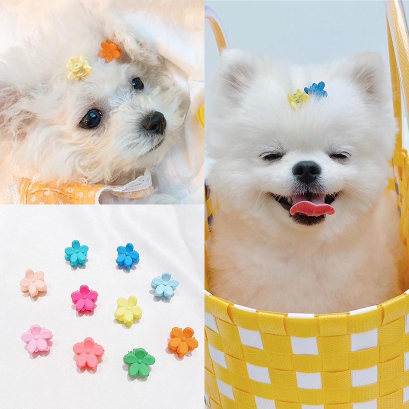 Pet Hair Clip Small Dogs Head Accessories Flowers Hairclip Teddy Hair Accessories Hair Clip Boomei Bear Small dog Marzis