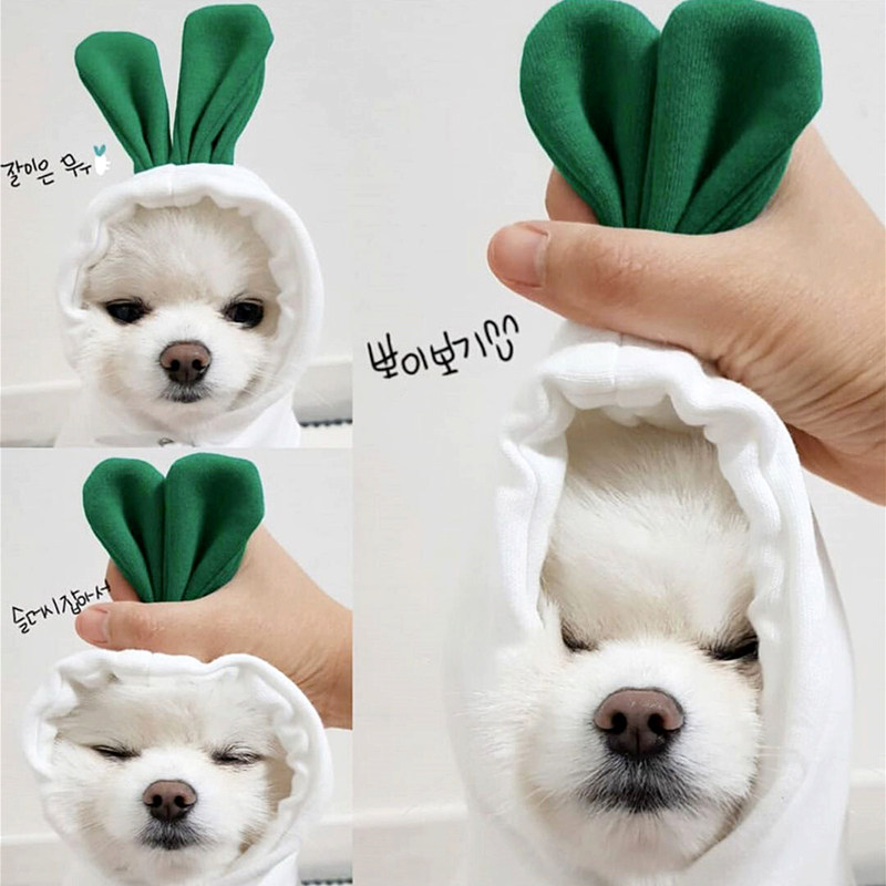 Early autumn new radish pet sweater Teddy Bear Bomei VIP cat puppy small dog Dog clothes