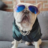 Цепочка, чокер, ожерелье, аксессуар, подвеска