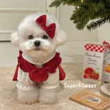 Собачья одежда красное платье платье сет