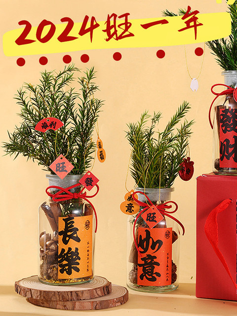 Cinnamon Brings Wealth DIY Ornament Glass Bottle Dried Flowers Flameless Aromatherapy Wealth-Attracting Housewarming Gift for Moving, Opening a Business, or Birthday