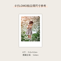 6 -INCH Photo (Lomo Style)