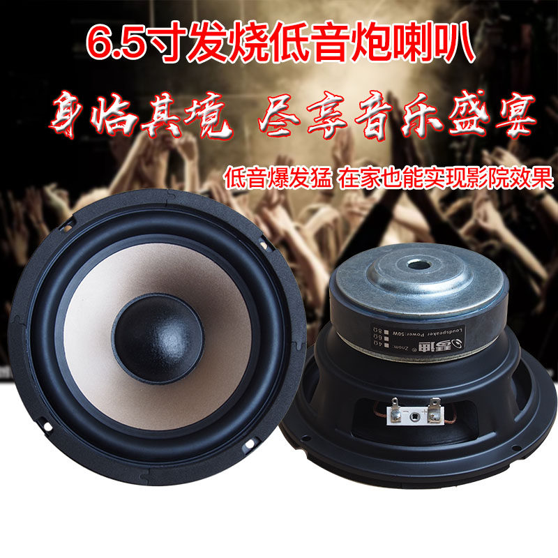 6 5-inch subwoofer 6 5-inch subwoofer speaker hifi overweight subwoofer bass punch to the meat