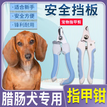 Dog special dog nail clippers nail clippers nail clippers nail clippers Anti-arrest small dog pets Scissors Armour Tools