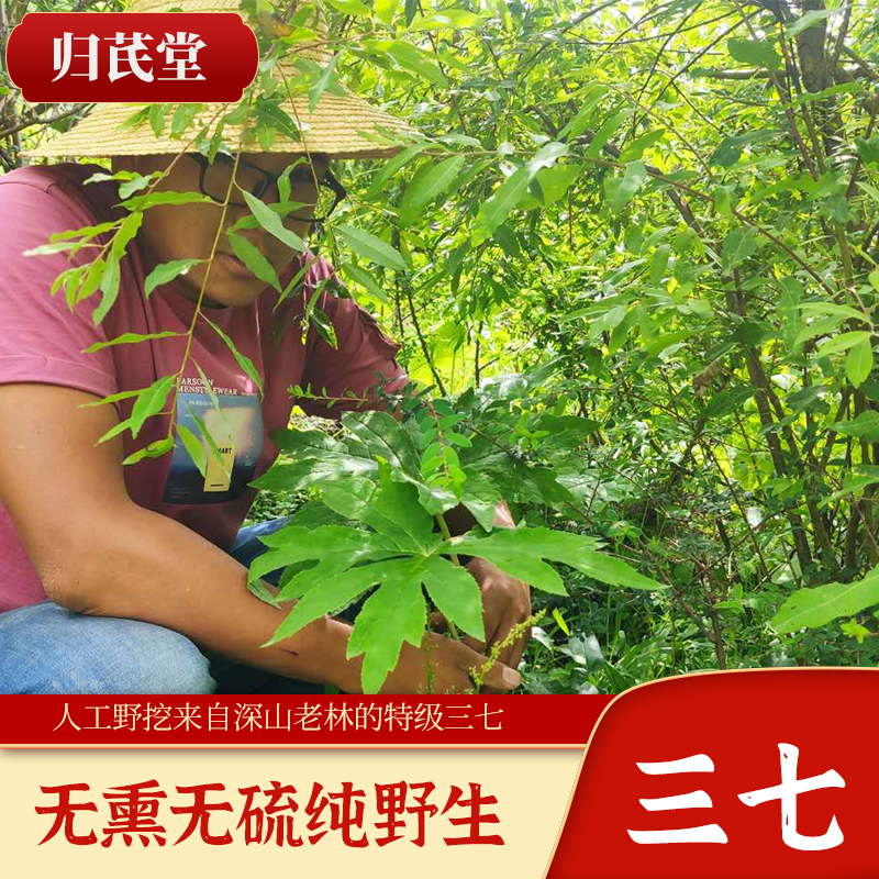 Pure natural field excavated wild Panax notoginseng 500g can be powdered by default, the whole non-Wenshan Sanqi