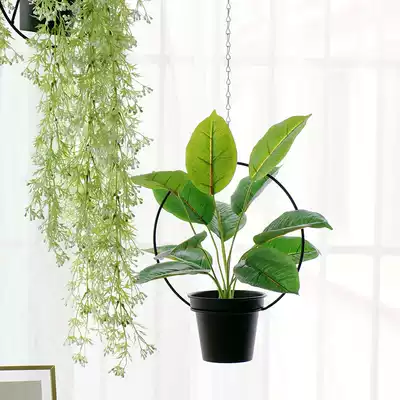 Nordic ins simulation green plant turtle back leaf creative small potted hanging pendulum wall decoration hanging basket plant