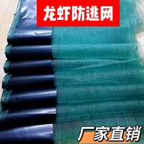 Anti-escape film anti-escape network Netting Cage Small Lobster Crab Beetle Turtle Frog Fish Pond Shrimp Pond Breeding Used nets