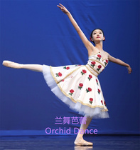 The Awakening of the Flower Goddess Variation Performance Costumes Youth Customized Performance Long Skirt Childrens Adult Tutu Skirt Competition Skirt