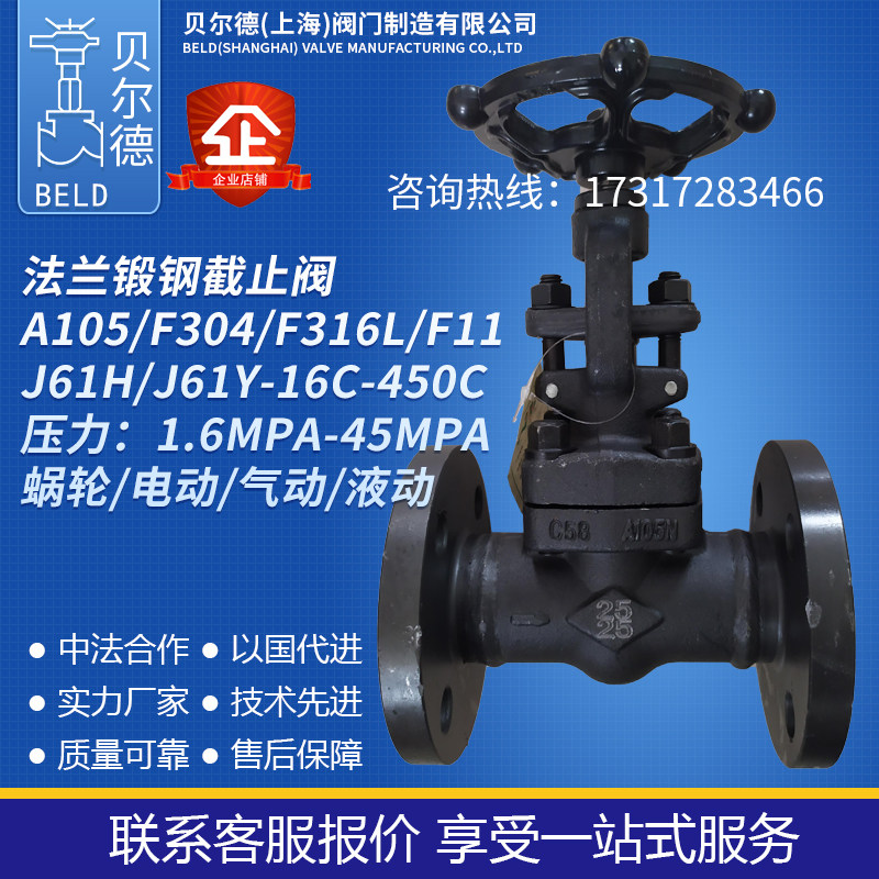 GB American Standard Japanese Standard German Standard Flanged Forged Steel Globe Valve J41H Y-16C 25C 150LB 10K