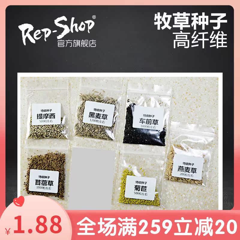 Tortoise food forage high fibre species money grass rye oats Alfalfa Timothy chicory plantain feed