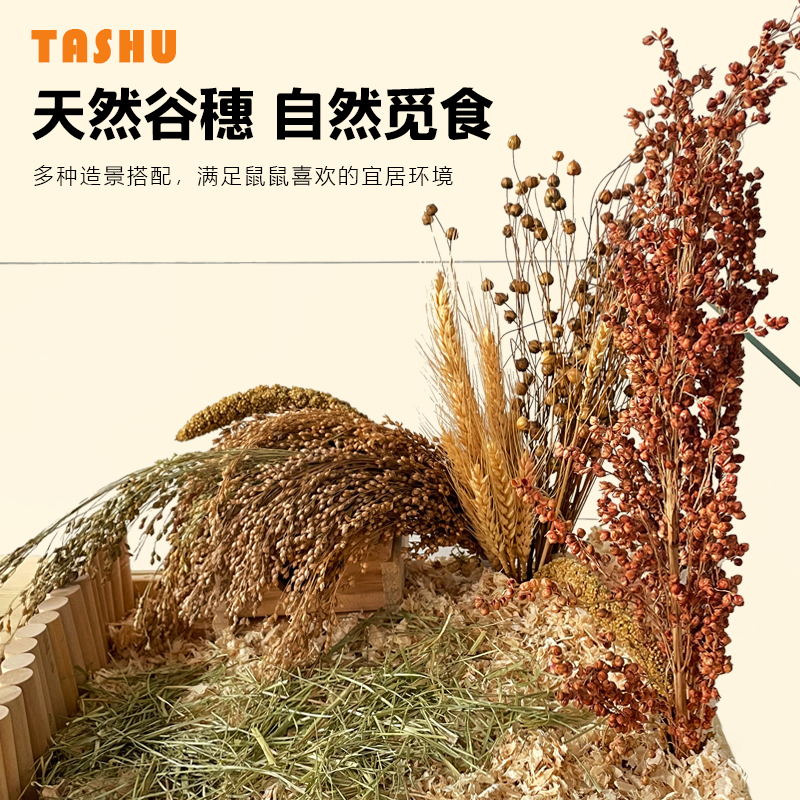 Hamster Natural Valley Scion Snack Mill Tooth Stick Decoration Golden Silk Bear Bucking view Luding Bird Nutrition Food 